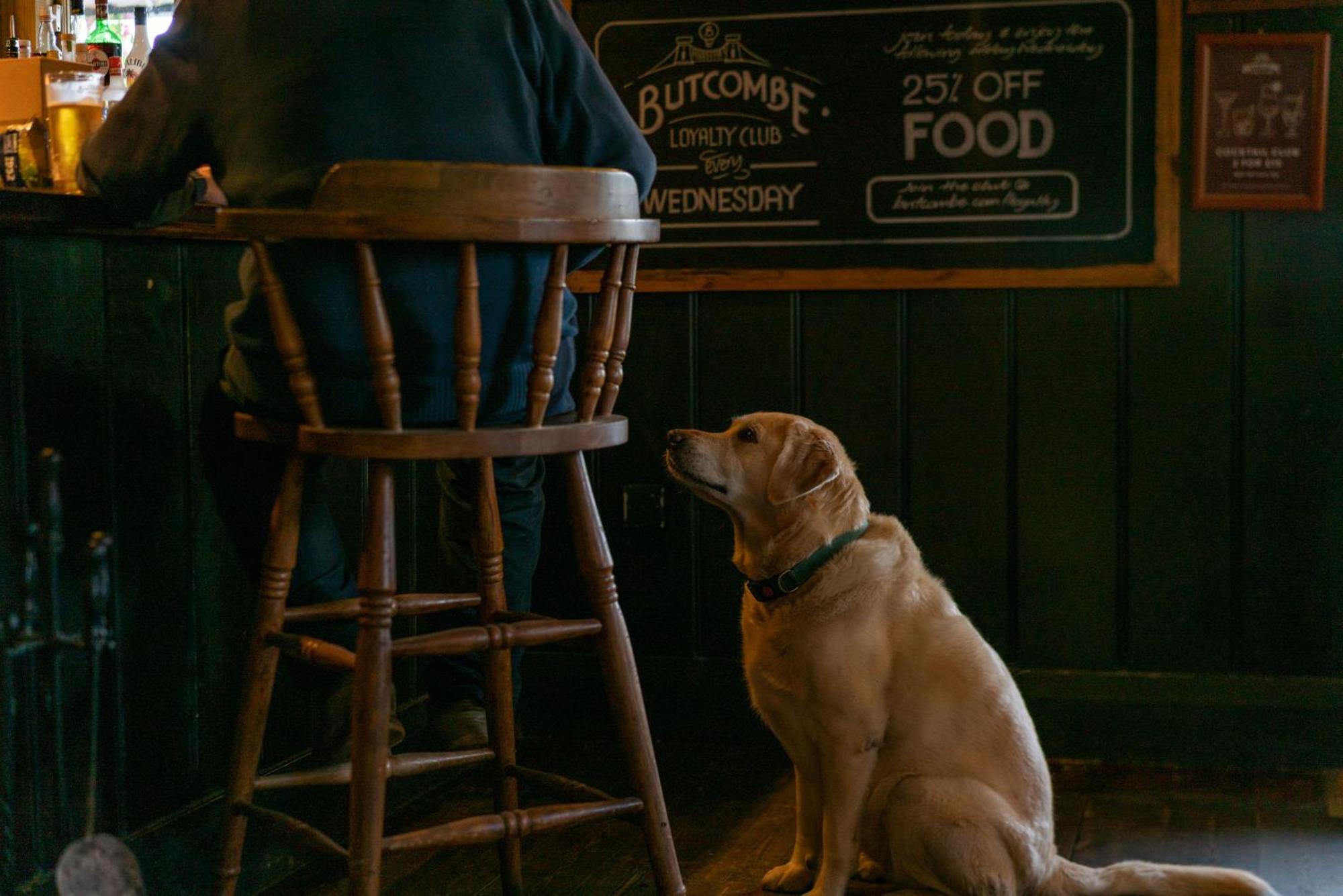 The Anchor Inn Lower Froyle Luaran gambar