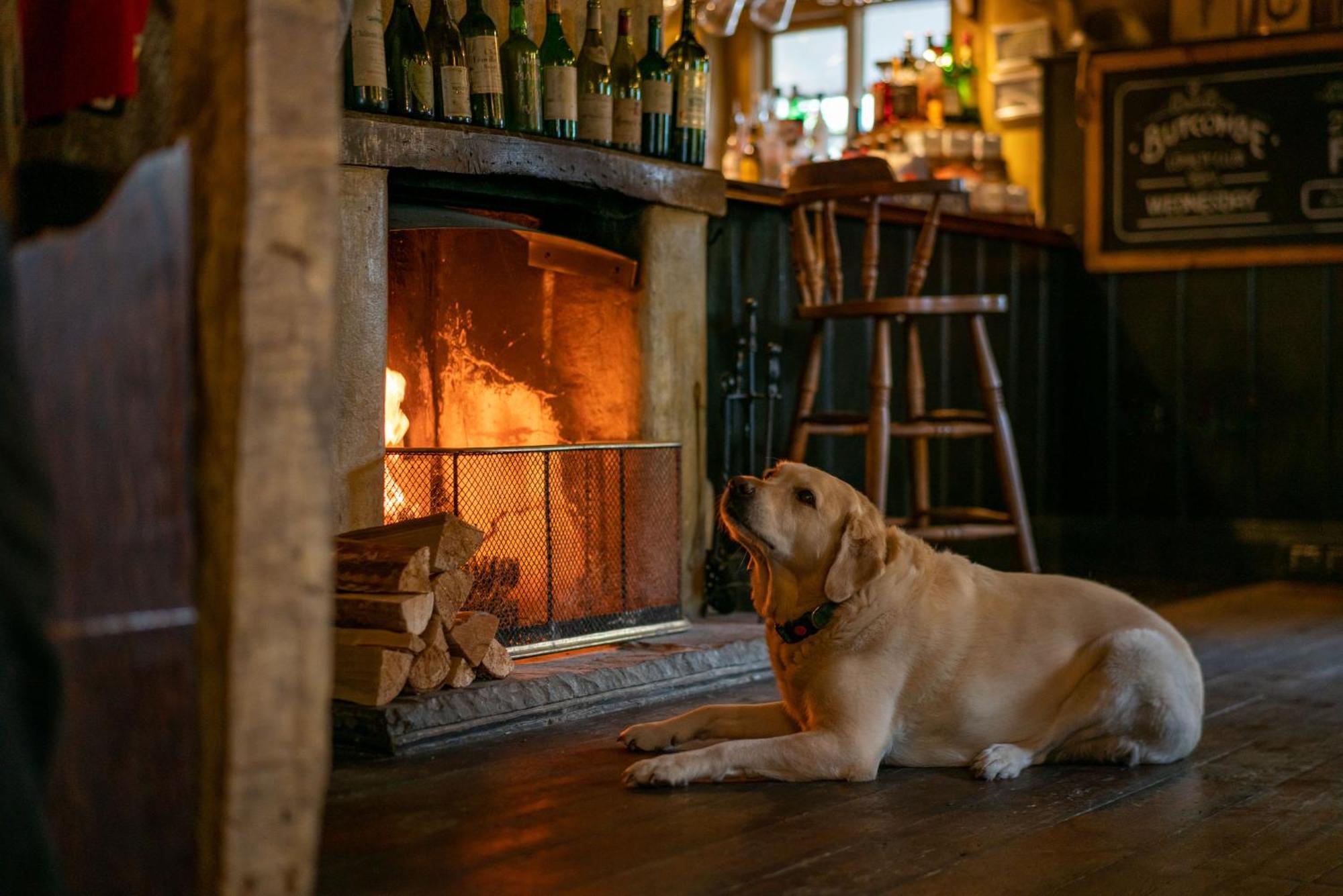 The Anchor Inn Lower Froyle Luaran gambar